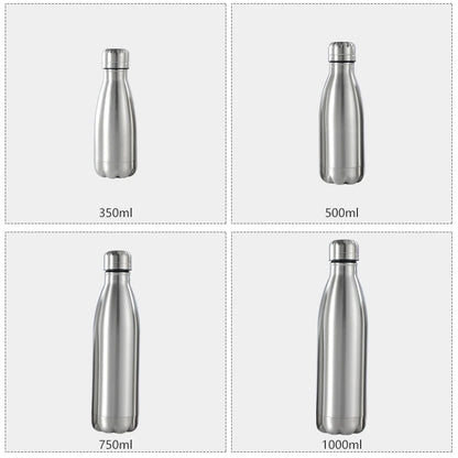 Stainless Steel Water Bottle